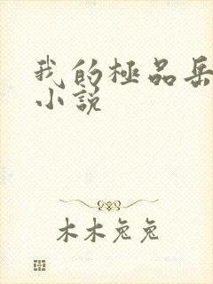 我的极品岳母 小说