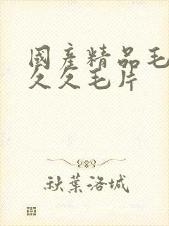 国产精品毛片久久久毛片