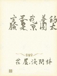 完蛋我养的小白脸是京圈太子爷免费看短剧封面