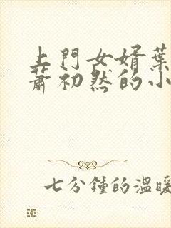 上门女婿叶辰和萧初然的小说最新章节封面