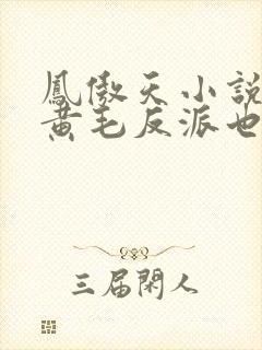 凤傲天小说里的黄毛反派也想要幸福小说