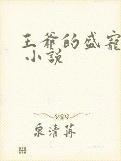 王爷的盛宠娇妻 小说封面