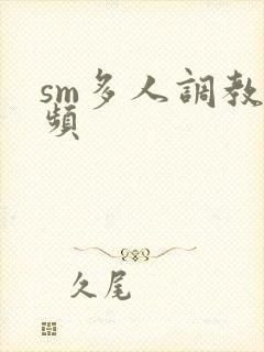 sm多人调教视频