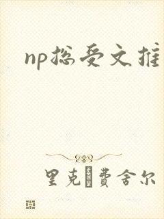 np总受文推荐