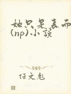 她只是表面清纯(np)小说封面