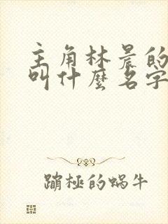 主角林晨的小说叫什么名字