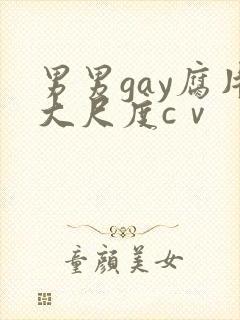 男男gay腐片大尺度cⅴ