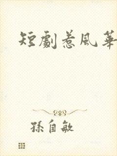 短剧惹风华全集