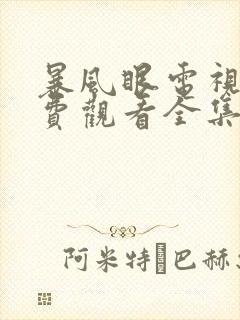 暴风眼电视剧免费观看全集高清封面