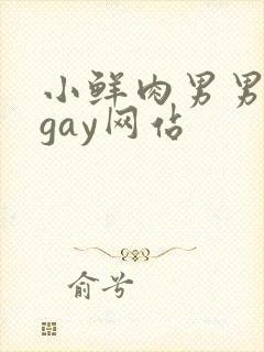 小鲜肉男男同性gay网站
