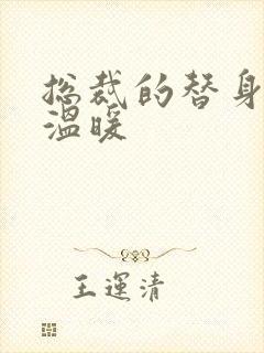 总裁的替身前妻温暖