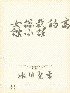 女总裁的高冷保镖小说