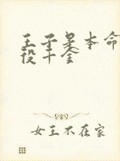 王子是本命是恶役千金封面