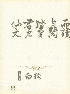 仙君踏月而来全文免费阅读