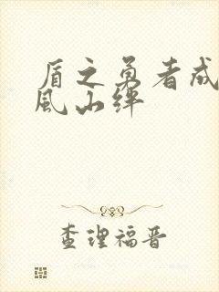 盾之勇者成名录风山绊