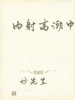 内射高潮中出封面