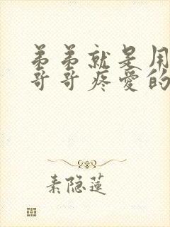 弟弟就是用来被哥哥疼爱的小说