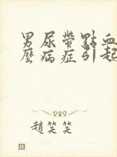 男尿带点血是什么病症引起的