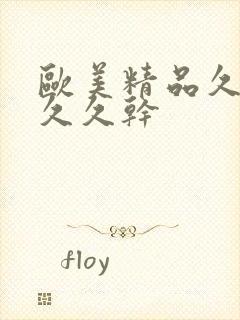 欧美精品久久久久久干