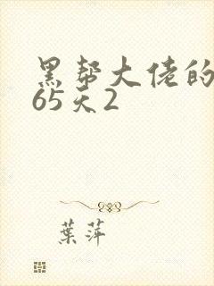 黑帮大佬的第365天2