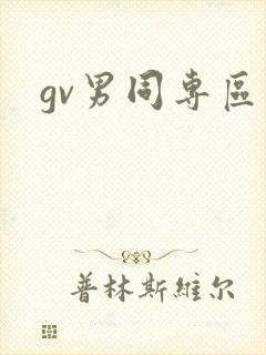 gv男同专区