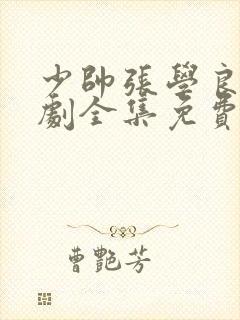 少帅张学良电视剧全集免费观看90