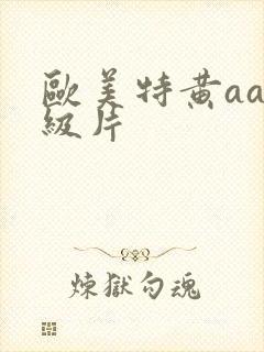 欧美特黄aa一级片