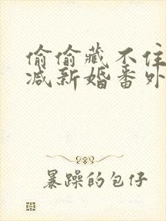 偷偷藏不住无删减新婚番外封面