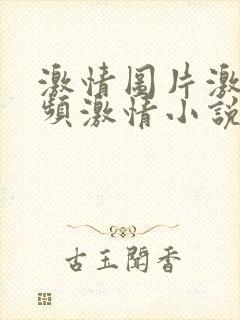 激情图片激情视频激情小说