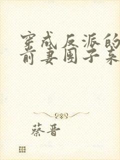 穿成反派的炮灰前妻团子来袭