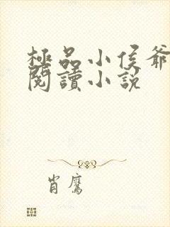 极品小侯爷全文阅读小说封面