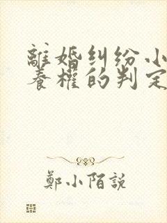 离婚纠纷小孩抚养权的判定封面