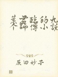 叶君临的九十九个师傅小说