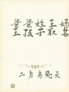 爸爸姓王妈妈姓王孩子取名封面