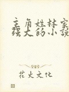 主角姓林家族很强大的小说