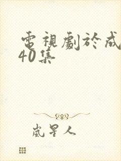 电视剧于成龙第40集