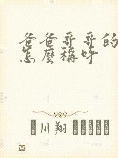 爸爸哥哥的儿子怎么称呼