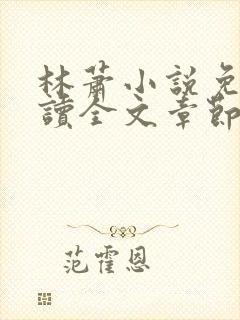 林萧小说免费阅读全文章节