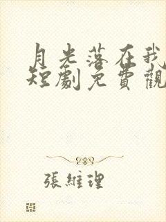 月光落在我手上短剧免费观看