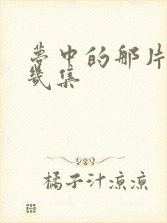 梦中的那片海共几集