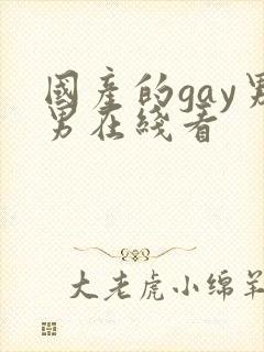 国产的gay男男在线看