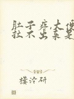 肚子疼,大便又拉不出来是什么原因