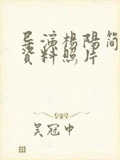 导演杨阳简介和资料照片封面