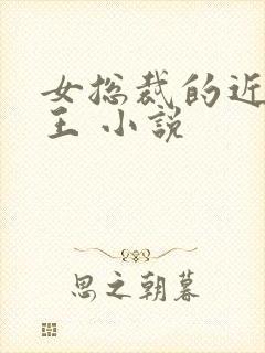 女总裁的近身兵王 小说