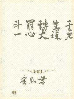 斗罗转生千仞雪一心大道免费阅读封面