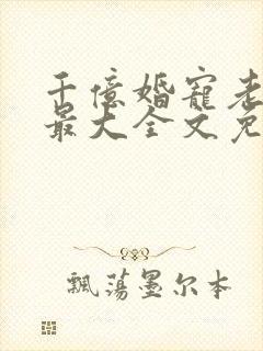 千亿婚宠老婆你最大全文免费阅读