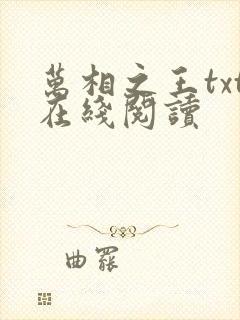 万相之王txt在线阅读