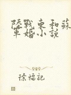 陆战东和苏灿的军婚小说