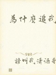 为什么追我封面