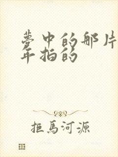 梦中的那片海哪年拍的